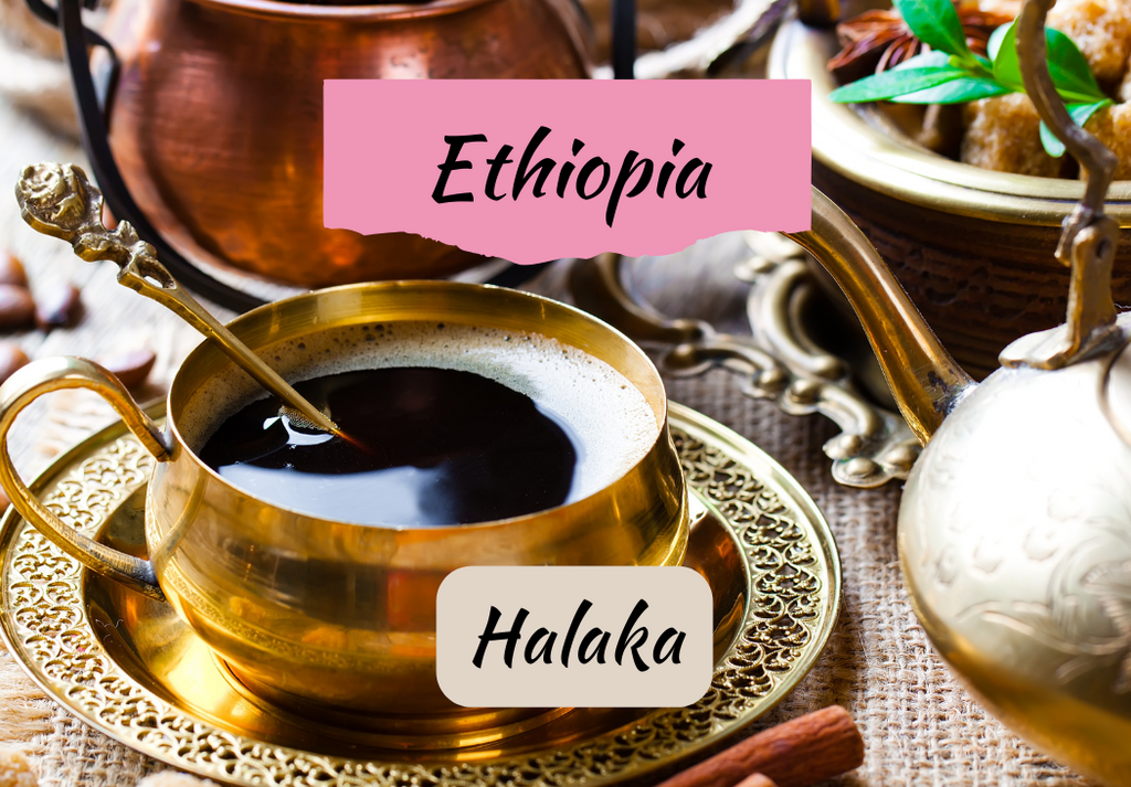 Ethiopia Halaka