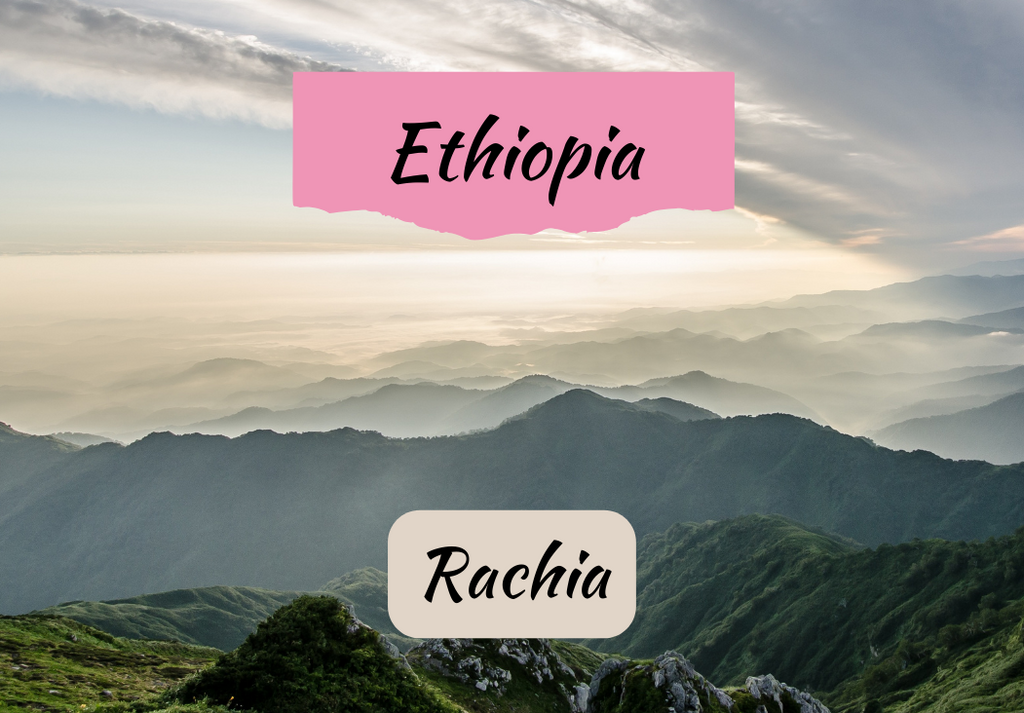 Ethiopia Rachia Washed