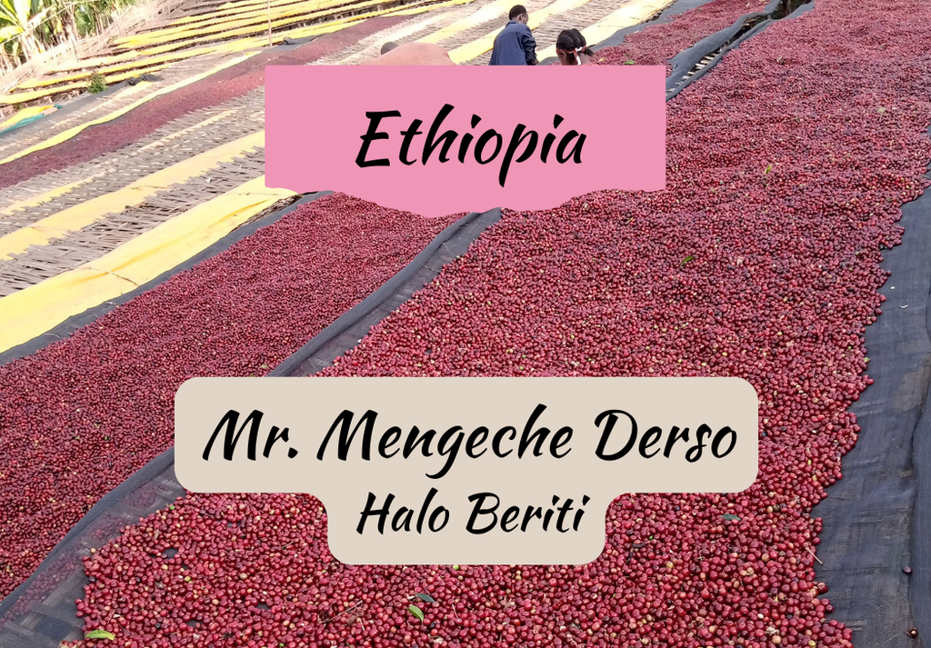 Ethiopia Mr. Mengeche Derso | Halo Beriti