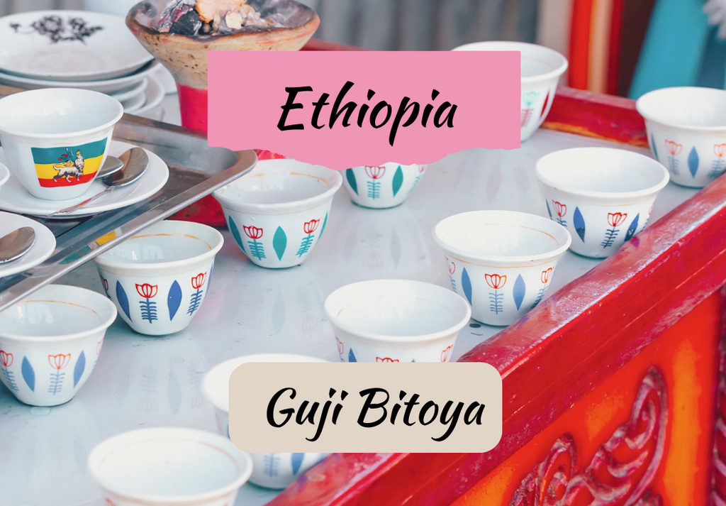 Ethiopia Guji Bitoya