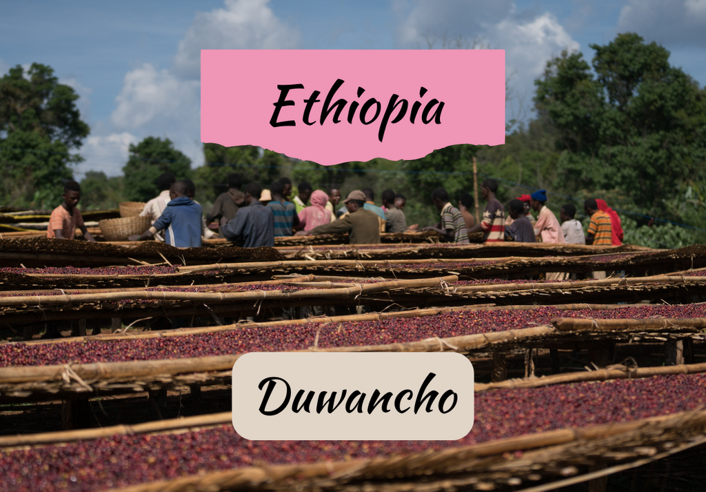 Ethiopia Duwancho