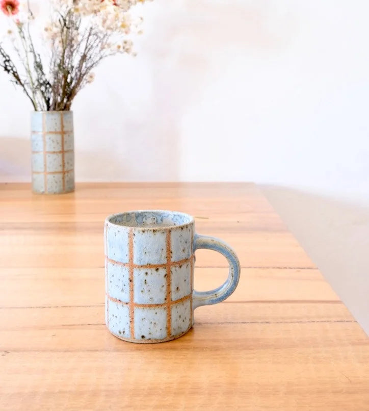 Frosted Mint Checkered Mug