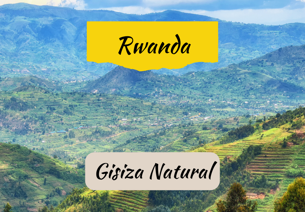Rwanda Gisiza | Natural