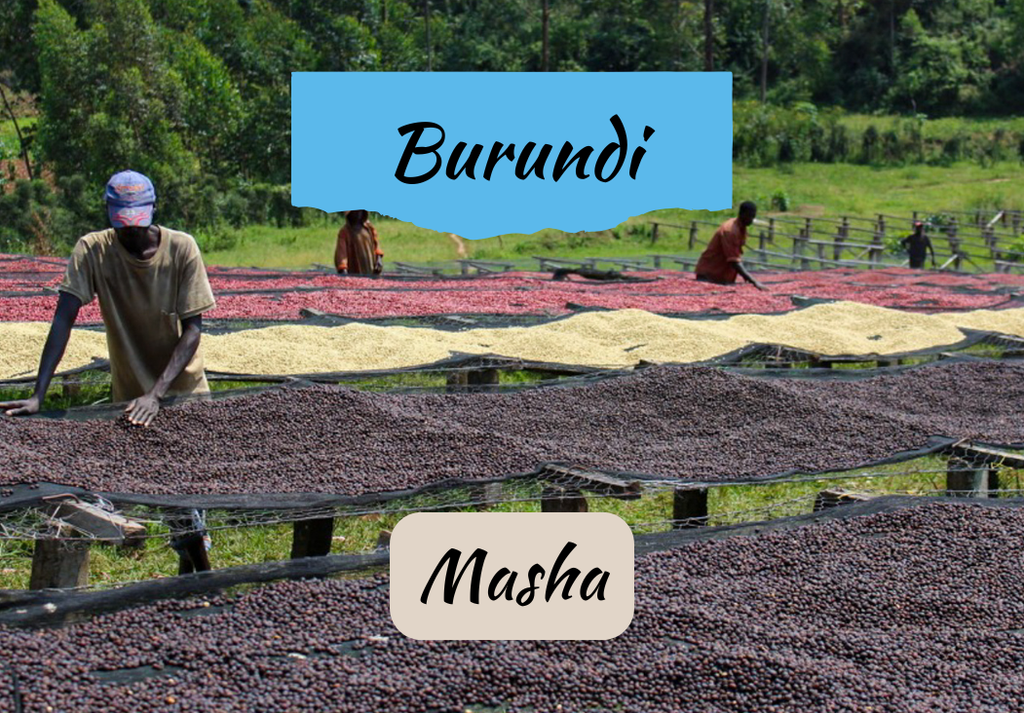 Burundi Masha | Honey